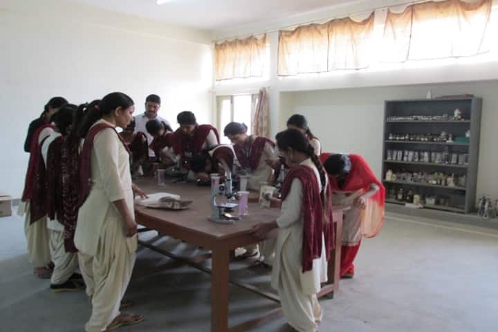Mrs Helena Kaushik Women's PG College campus in Jhunjhunu, Rajasthan, India — photo 5