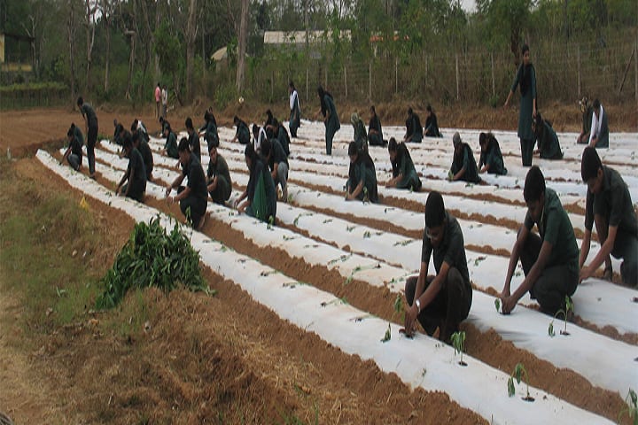 College of Horticulture campus in Thrissur, Kerala, India — photo 5
