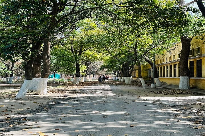Government Ripudaman College campus in Patiala, Punjab, India — photo 2