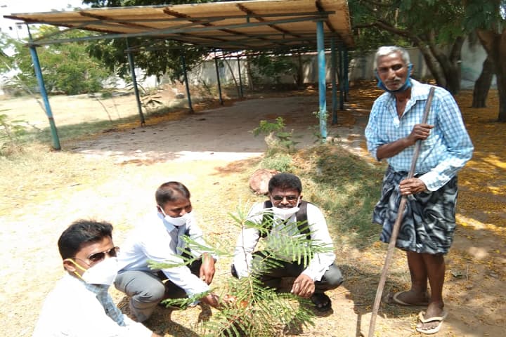Sri VSSC Government Degree College campus in Sullurupeta, Andhra Pradesh, India — photo 6