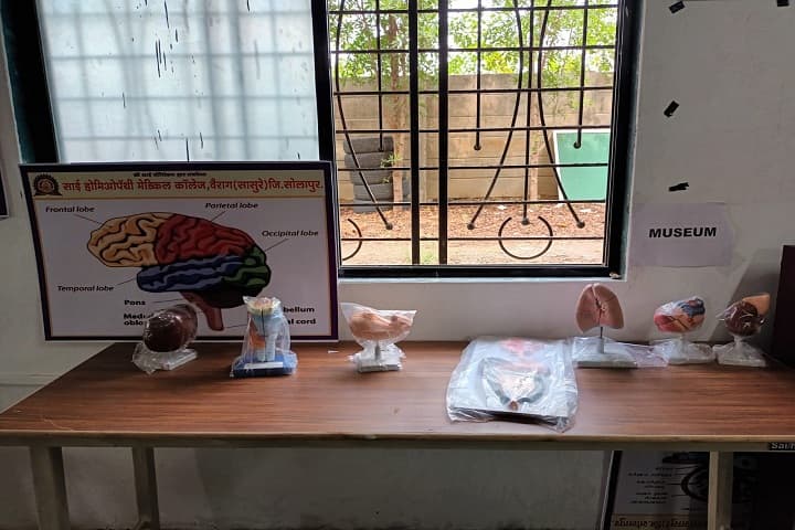 Sai Homoeopathy Medical College campus in Solapur, Maharashtra, India — photo 4