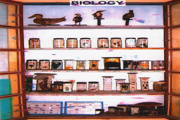 JSS College of Education campus in Bagalkot, Karnataka, India — photo 4