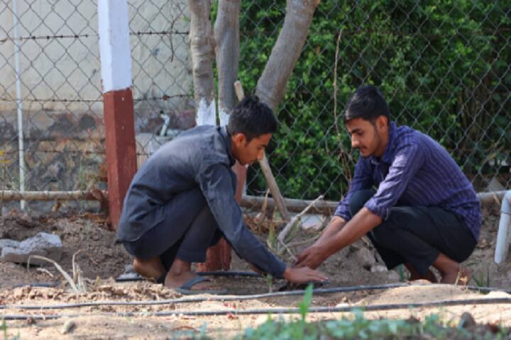 Lokbharati University for Rural Innovation campus in Bhavnagar, Gujarat, India — photo 5