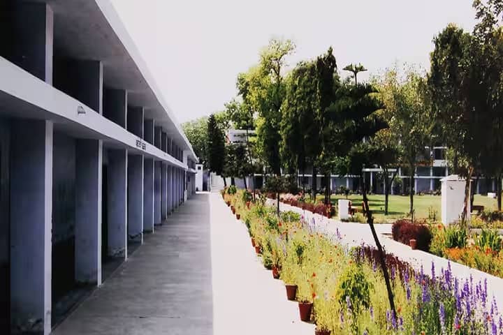 Sant Baba Atar Singh Khalsa College campus in Sangrur, Punjab, India — photo 3