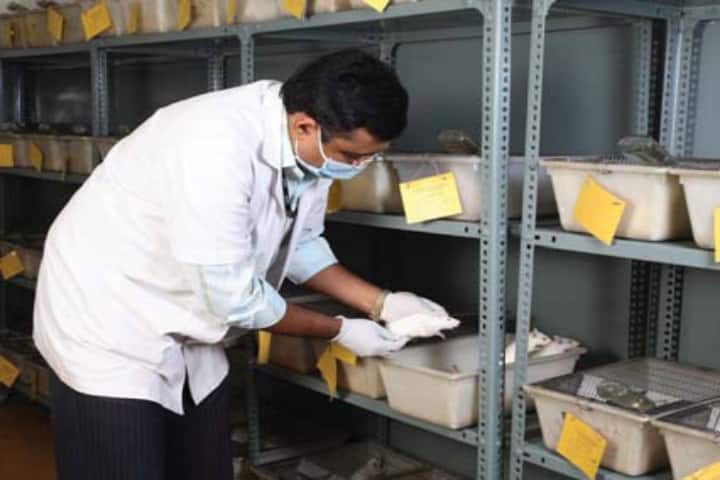 Al-Ameen College of Pharmacy campus in Bangalore, Karnataka, India — photo 5