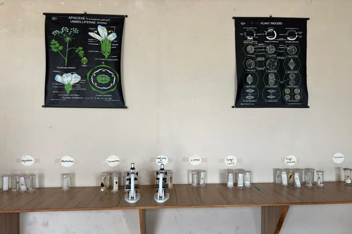 Hakeem Harbans Singh New Era College of Education campus in Sirsa, Haryana, India — photo 6