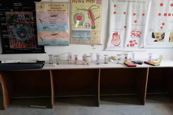 Subhash Chandra Bose College of Education campus in Madhepura, Bihar, India — photo 2