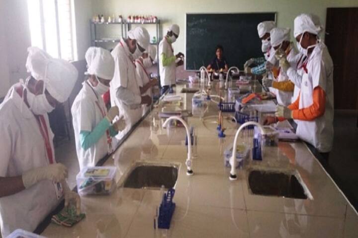 SR Institute of Diploma in Pharmacy campus in Latur, Maharashtra, India — photo 2