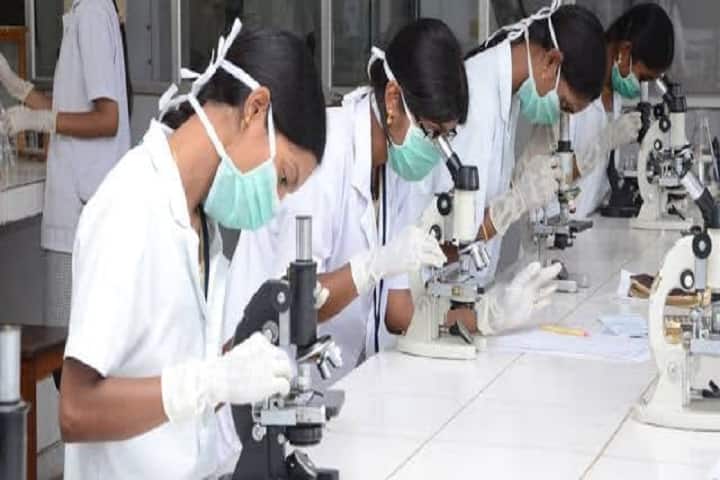 Spark College of Pharmacy campus in Bahraich, Uttar Pradesh, India — photo 2