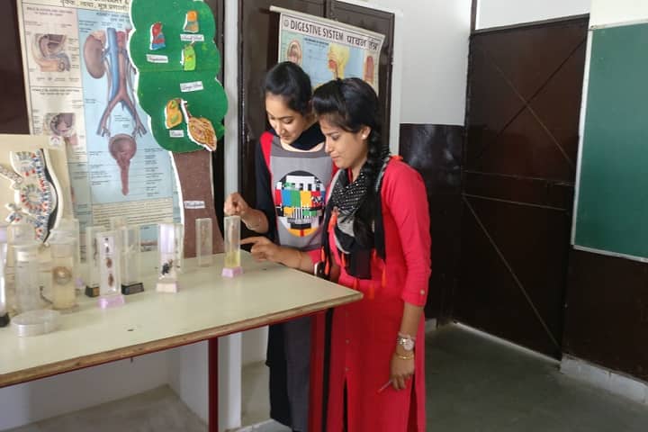 Swami Dayamuni Vidyapeeth College of Education campus in Rohtak, Haryana, India — photo 4