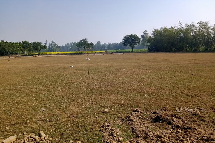 Buniadpur Teachers Training College campus in Buniadpur, West Bengal, India — photo 4
