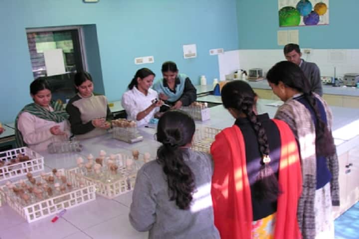 JNVU Jodhpur campus in Jodhpur, Rajasthan, India — photo 6