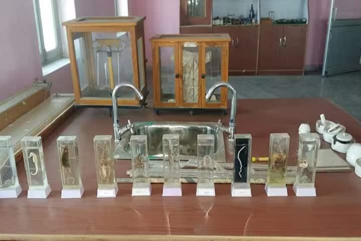 B Ed Teacher Training College campus in Khagaria, Bihar, India — photo 4
