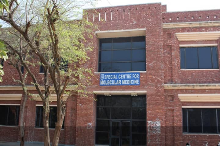 JNU Delhi campus in New Delhi, Delhi, India — photo 6