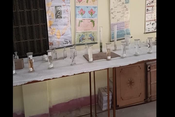 Nageena Ramdhyan Shikshak Shiksha Mahavidyalaya campus in Sheohar, Bihar, India — photo 4