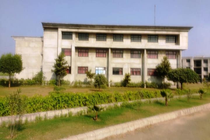 DIPS College of Education campus in Jalalpur, Punjab, India — photo 1