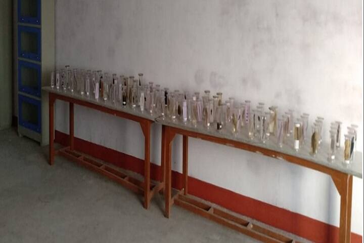 SJ Institute of Pharmacy campus in Kanpur Nagar, Uttar Pradesh, India — photo 3