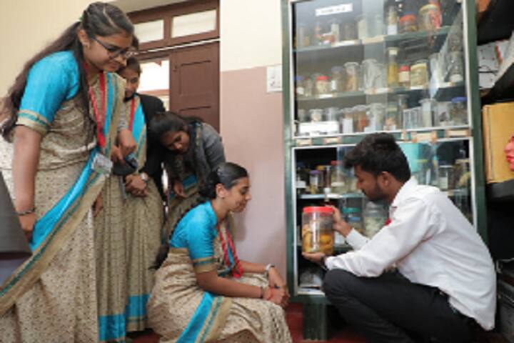 ML Manjaiah Setty Narasimha Setty College of Education campus in Chikmagalur Rural, Karnataka, India — photo 4