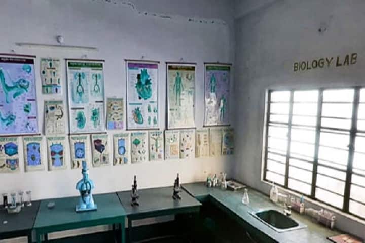 Siliguri Terai B Ed College campus in Darjeeling, West Bengal, India — photo 3