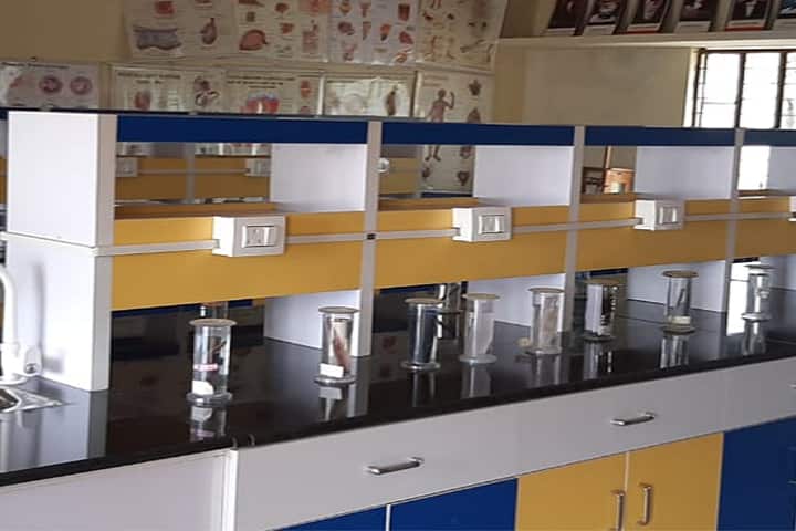 AVS College of Education campus in Tarikere, Karnataka, India — photo 5