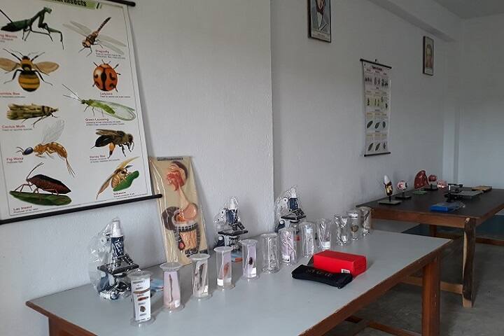 Kultikri Teachers Training Institute of Higher Studies campus in Jhargram, West Bengal, India — photo 2