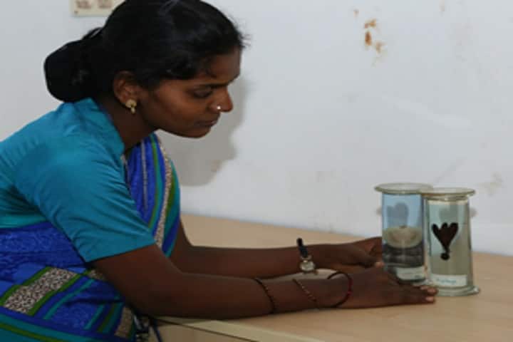 Duraimurugan College of Education campus in Vellore, Tamil Nadu, India — photo 2