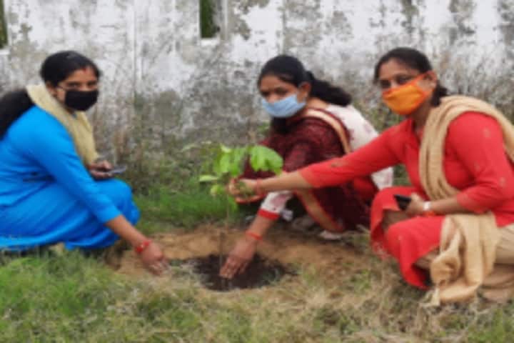 Poornagiri College of Education campus in Khatima, Uttarakhand, India — photo 5