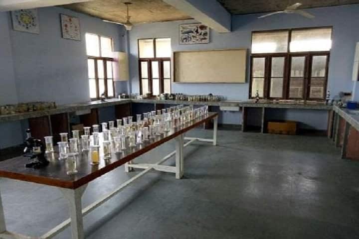 Mehta TT College campus in Jaipur, Rajasthan, India — photo 4