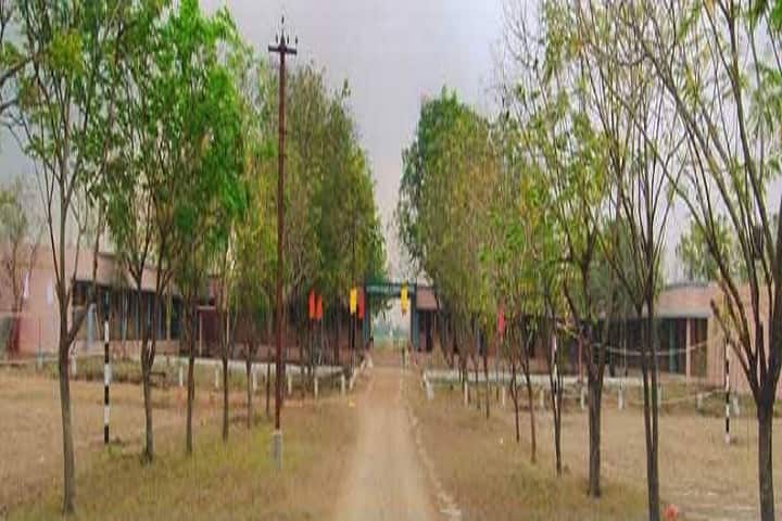 Sai Deepthi College of Physical Education campus in Guntur, Andhra Pradesh, India — photo 2