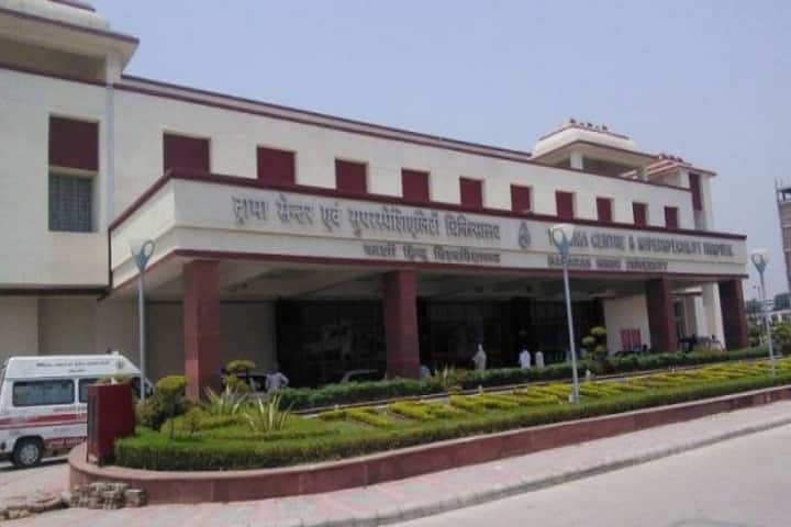 BHU Varanasi campus in Varanasi, Uttar Pradesh, India — photo 5