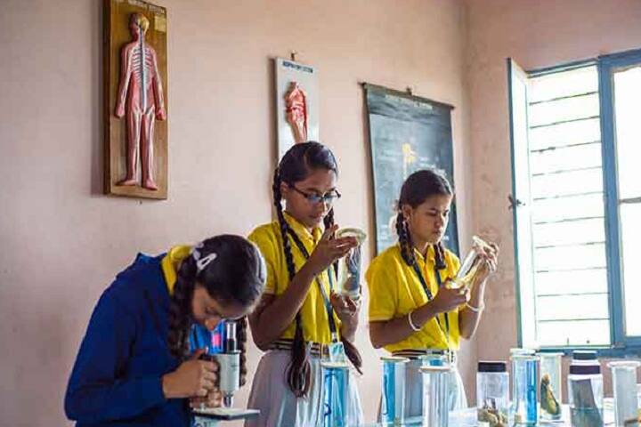 Sri Shambulingeshwara College of Physical Education campus in Mandya, Karnataka, India — photo 5
