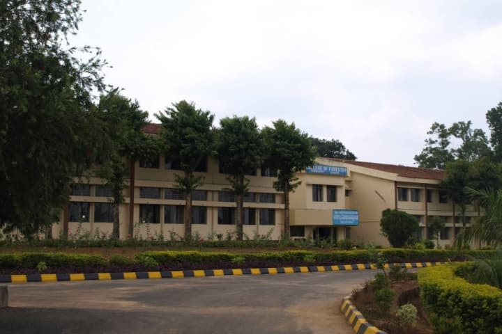 College of Forestry, Ponnampet campus photo