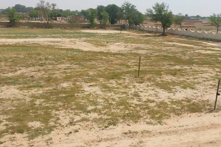 Parmanand Degree College for B Ed campus in Sri Ganganagar, Rajasthan, India — photo 6