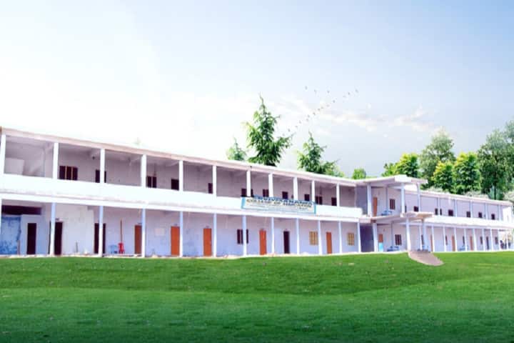 Sri Vivekananda BPEd College campus in Prakasam, Andhra Pradesh, India — photo 1