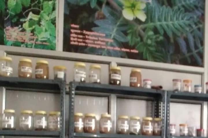 Uttarakhand Ayurvedic College campus in Haldwani, Uttarakhand, India — photo 4