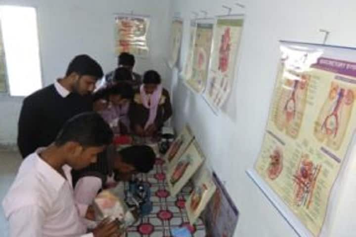 Kazi Nazrul Islam Teachers Training College campus in Murshidabad, West Bengal, India — photo 2
