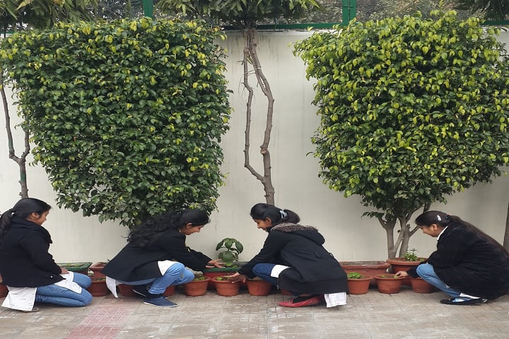 Rukmini Devi College of Education campus in New Delhi, Delhi, India — photo 2