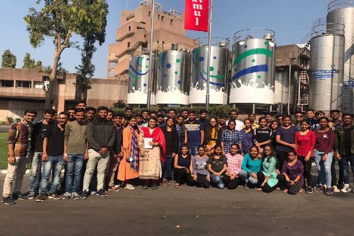 Smt Chandaben Mohanbhai Patel Institute of Computer Applications campus in Anand, Gujarat, India — photo 6