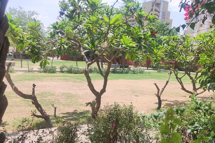 APS Shikshan Prashikshan Mahavidyalaya campus in Jaipur, Rajasthan, India — photo 5