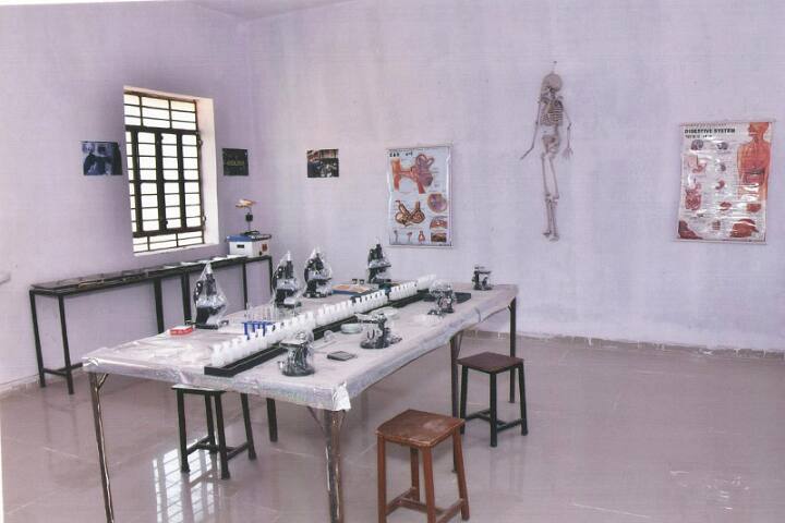 Saraswati TT College campus in Sikar, Rajasthan, India — photo 6