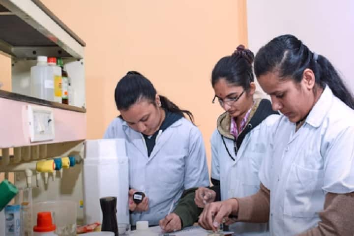 Drs Kiran and Pallavi Patel Global University campus in Vadodara, Gujarat, India — photo 3