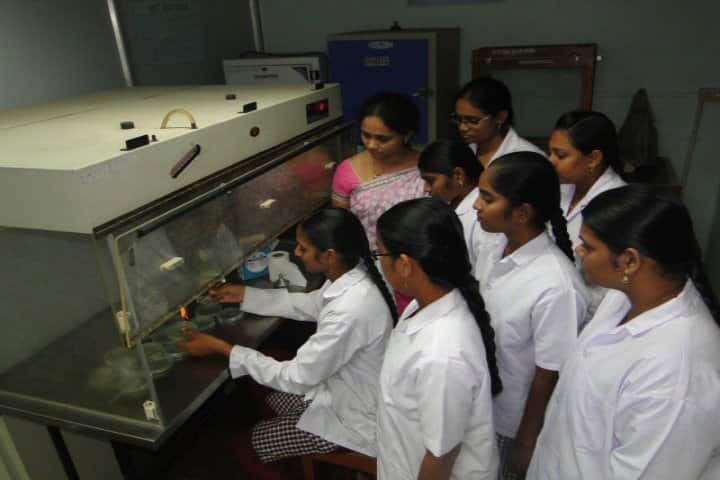 Maris Stella College campus in Vijayawada, Andhra Pradesh, India — photo 5
