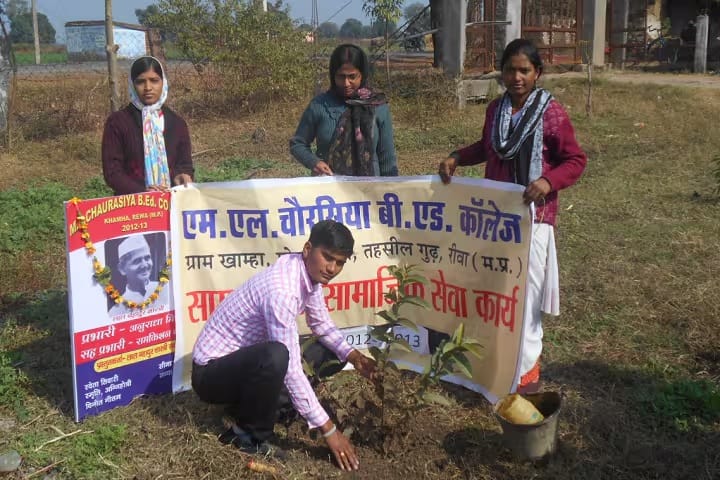 ML Chaurasia B Ed College campus in Rewa, Madhya Pradesh, India — photo 6