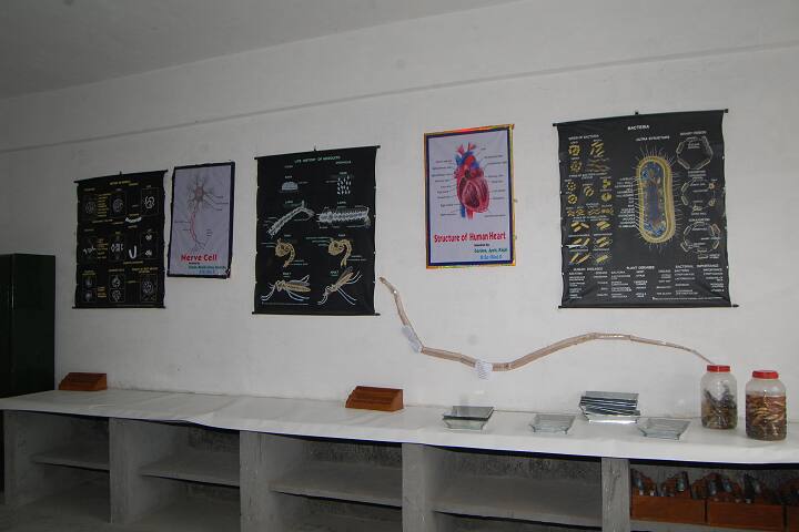 Natraj Institute of Education and Technology campus in Jahangirabad, Uttar Pradesh, India — photo 6