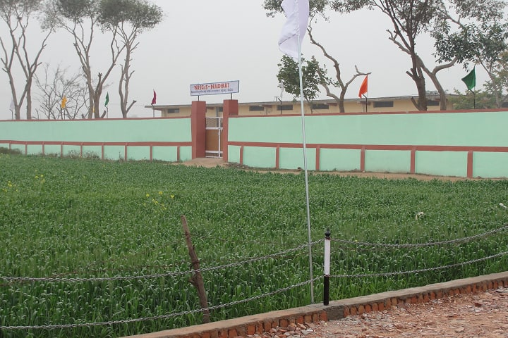Shri Radhe PG College campus in Bharatpur, Rajasthan, India — photo 2