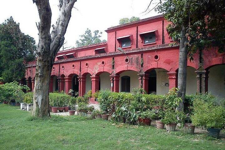 Government College of Education campus in Jalandhar, Punjab, India — photo 3