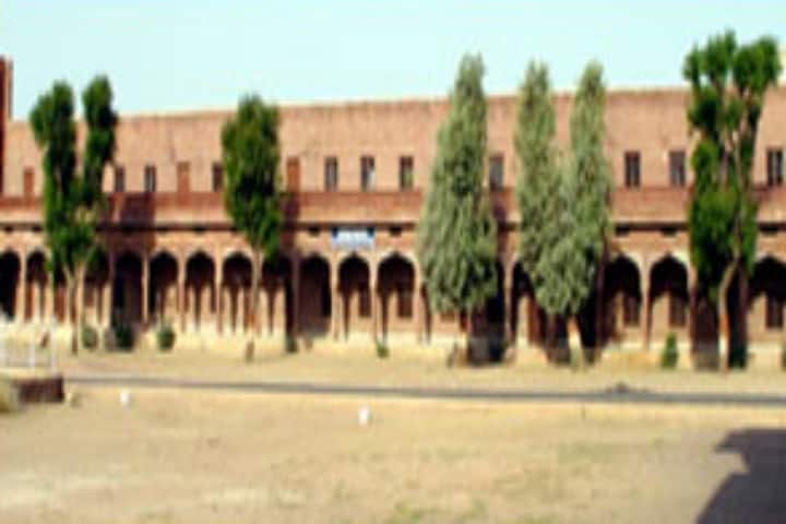 Chopasni Teachers Training College campus in Jodhpur, Rajasthan, India — photo 1
