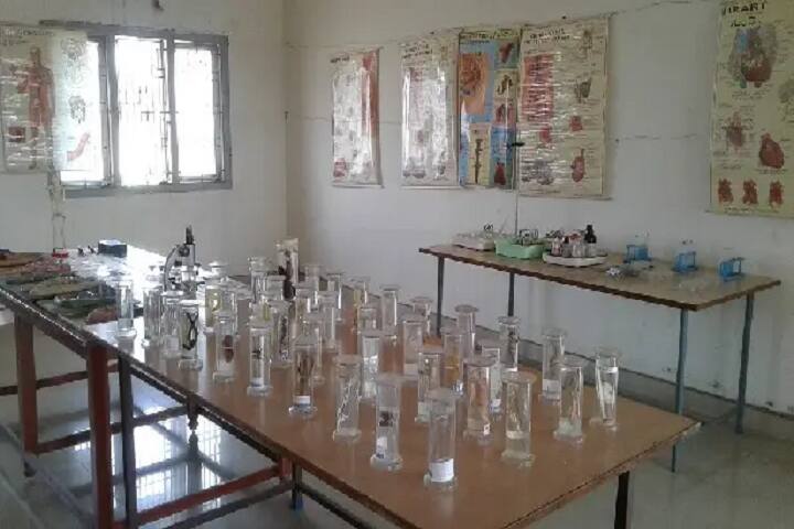 Divya College of Education campus in Rajanagaram, Andhra Pradesh, India — photo 5