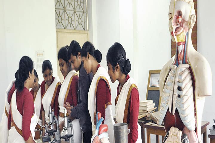 Vidyasagar Primary Teacher Training Institute campus in Haldia, West Bengal, India — photo 2