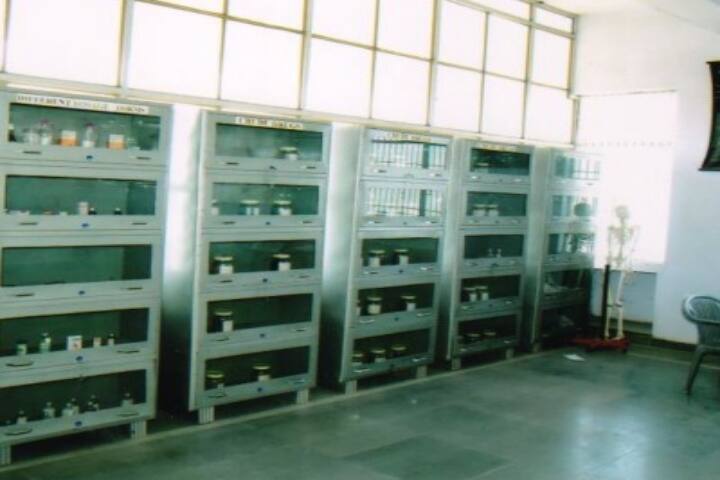 Shri Sanatan Dharam Institute of Pharmacy and Medical Technology campus in Jhajjar, Haryana, India — photo 5